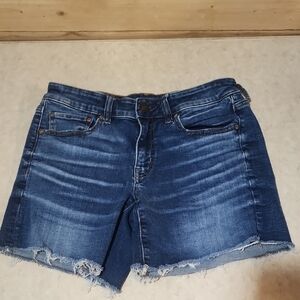 American Eagle Suoer Stretch Shorts Size 6 Inseam 5.5in